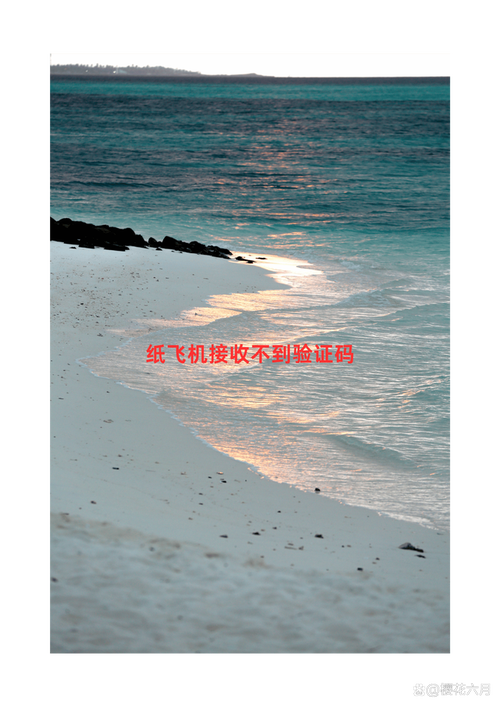TG纸飞机中文版黑,teiegram纸飞机