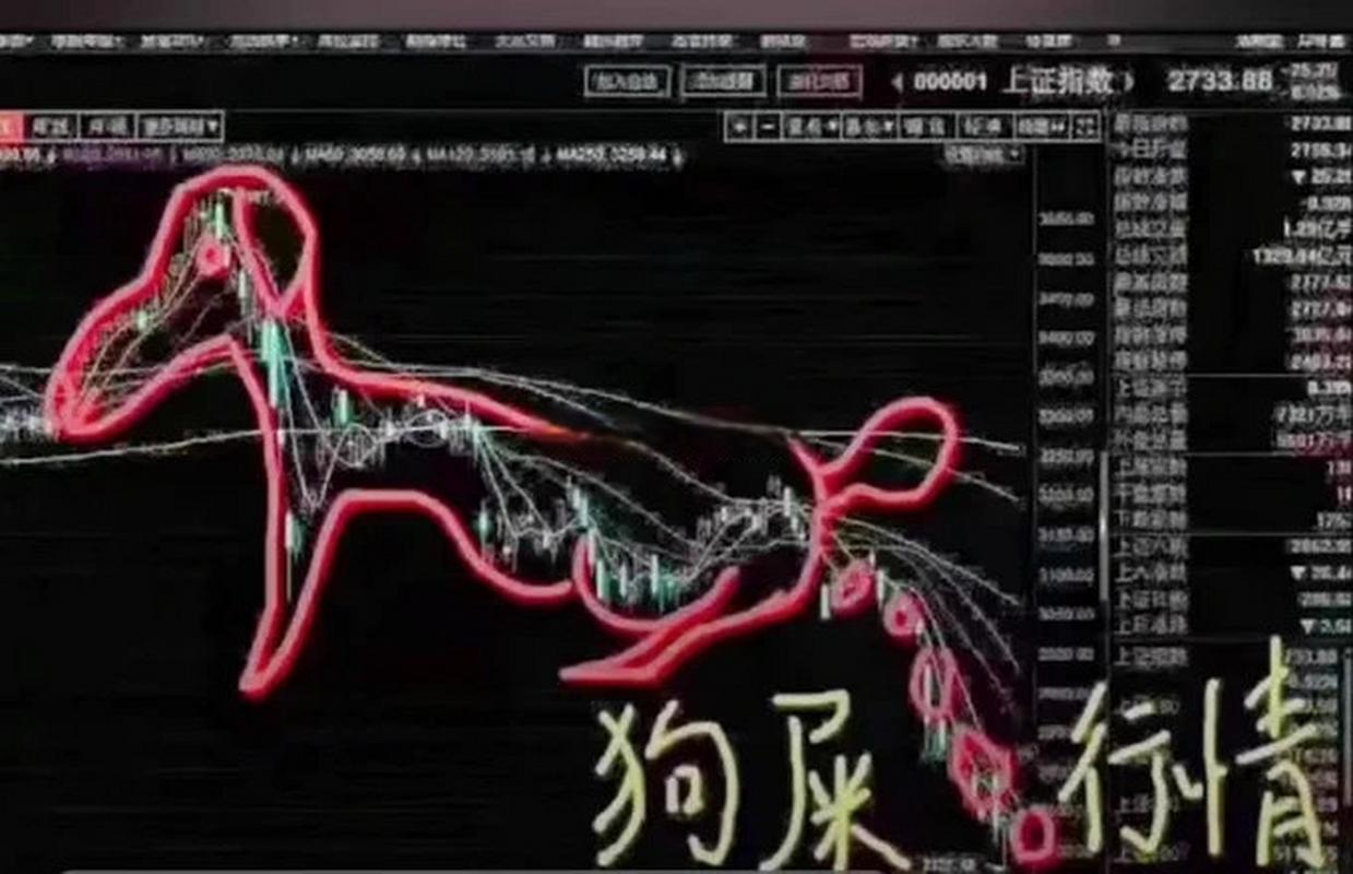 屎币最高价格多少,屎币最高涨了多少倍