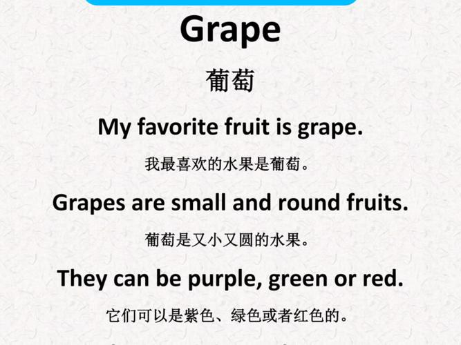 grasp中文翻译,grape 中文翻译
