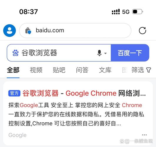 谷歌浏览器安卓下载小米,小米下载google浏览器