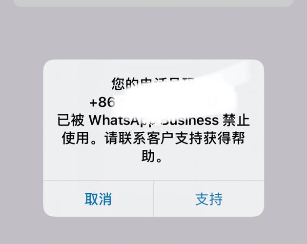 WhatsApp账号出售,whatsapp号一般封多久