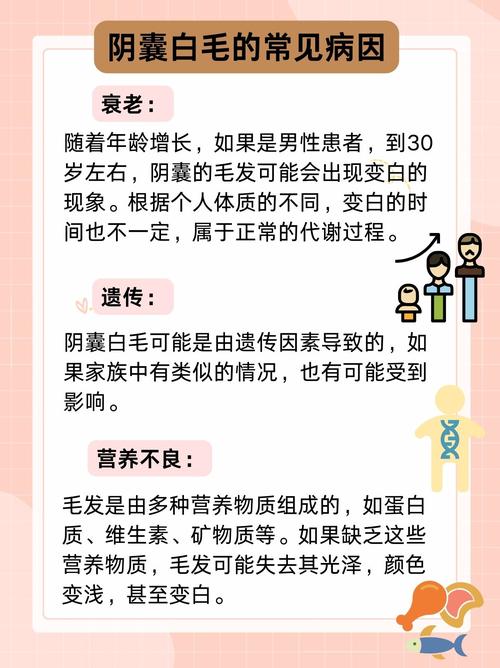 50岁私下长了几根白毛怎么治,50岁私下长了几根白毛怎么治疗