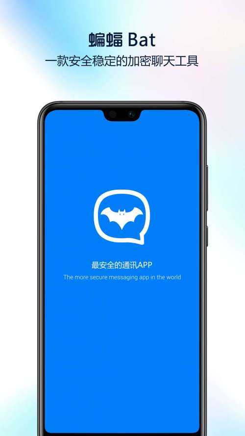 蝙蝠安全聊天软件下载,蝙蝠安全聊天软件下载安装