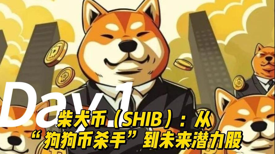 dogs币退市时间已定,dogs币值得长期持有吗