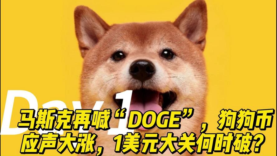 狗狗币为什么被央视点名,狗狗币为什么涨不上去?未来有投资价值吗?