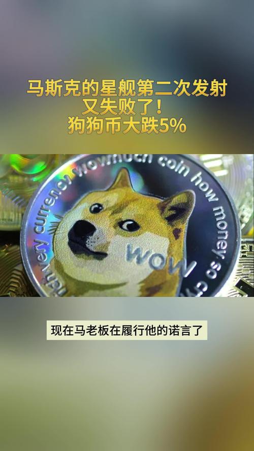狗狗币马斯克火箭,马斯克把狗狗币送上太空