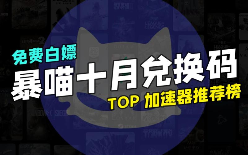 暴喵加速器,暴喵加速器兑换码