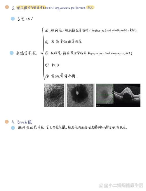 ped是指什么,ped是指什么病