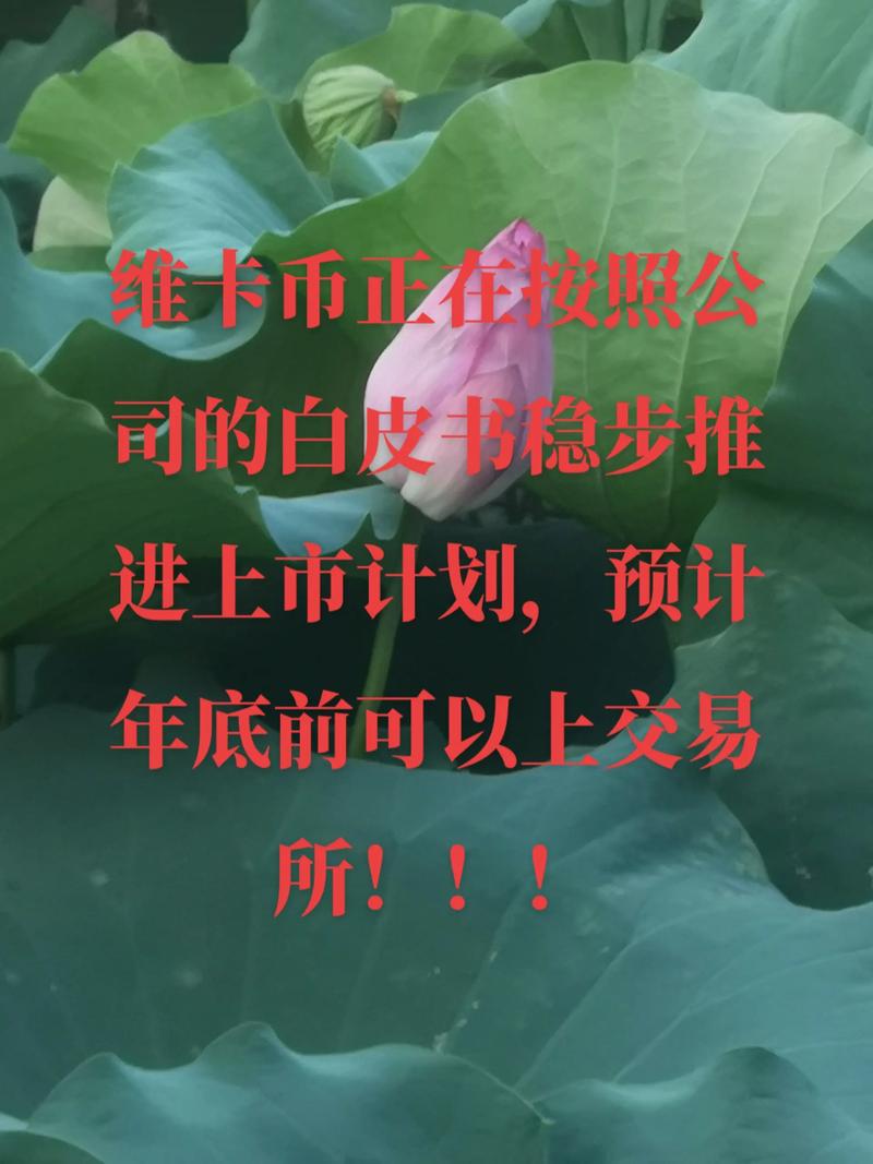 维卡币终于被国家承认了,维卡币终于被国家承认了吗