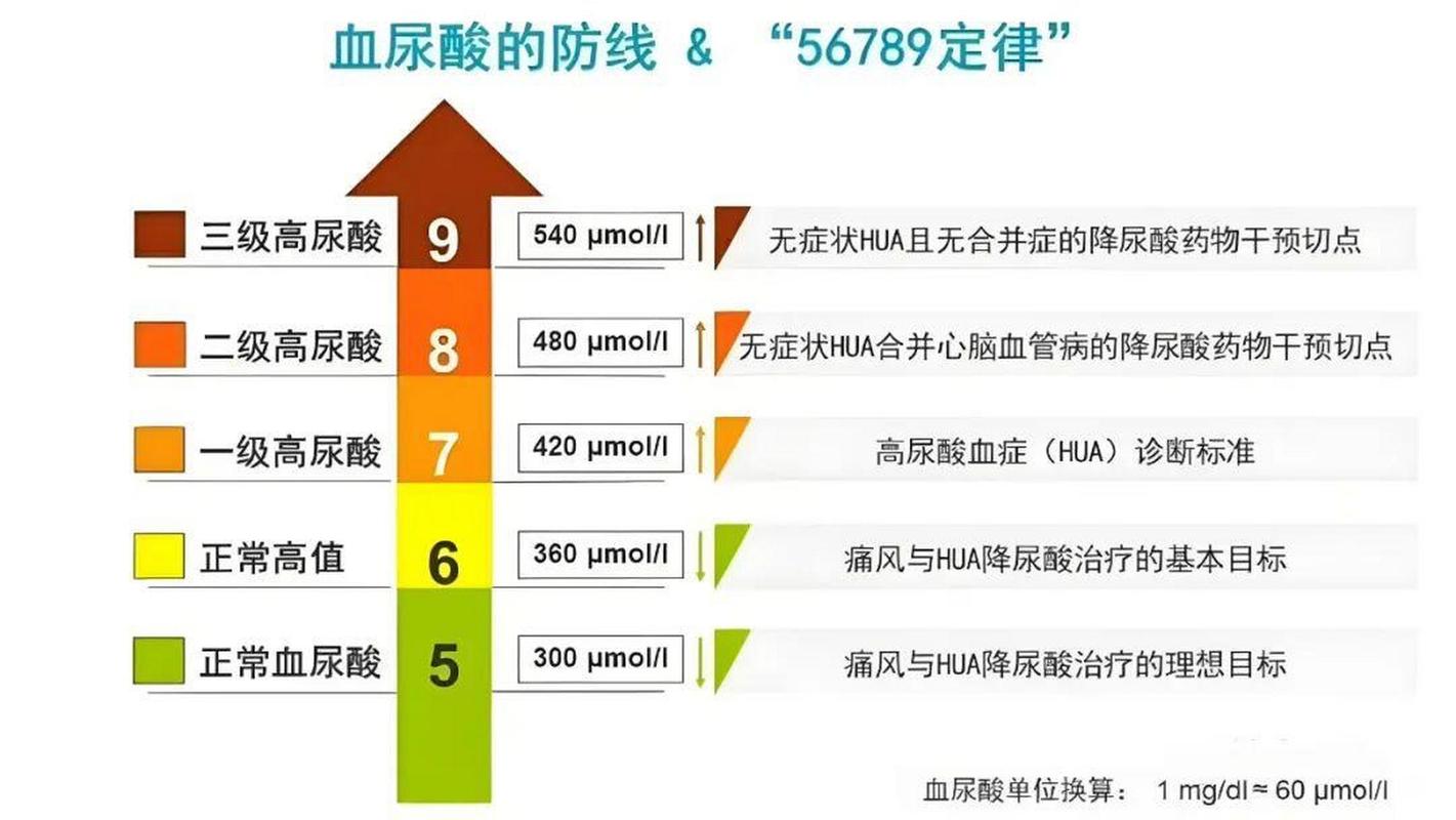 血尿酸和尿酸,血尿酸和尿酸是一个概念吗