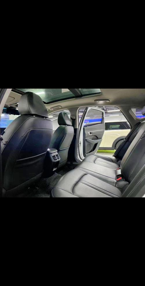 索纳塔手机控制车,索纳塔10远程车辆控制
