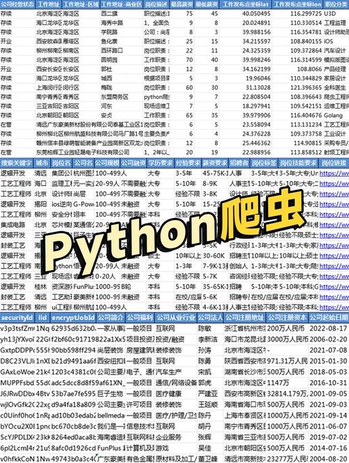 python爬虫招聘网站,python爬虫招聘网站分析计算机就业