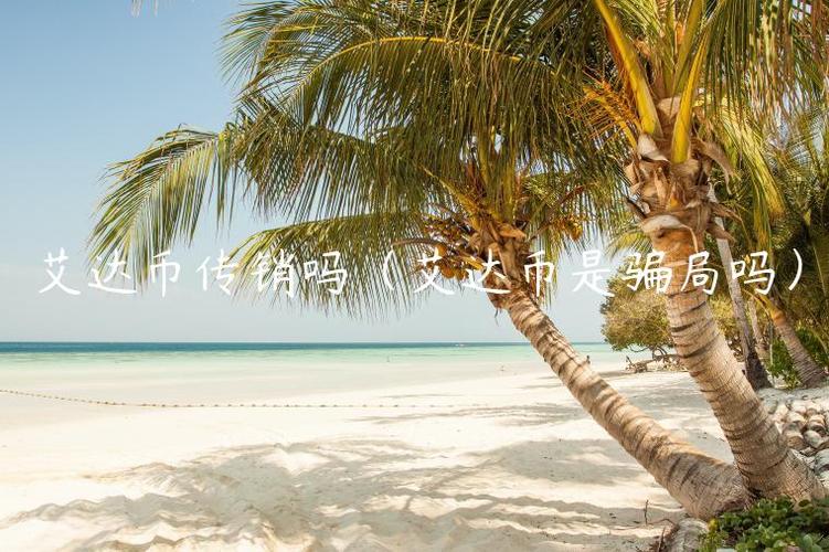 艾达币诈骗团伙,艾达币诈骗团伙是谁
