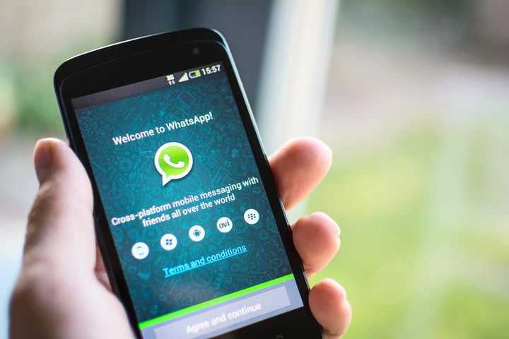 关于whatsapp安卓下载安装的信息