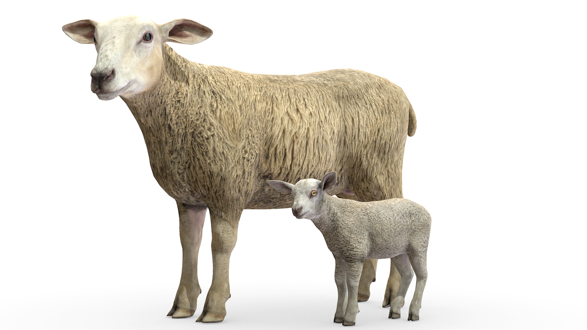 [lamb]lambda