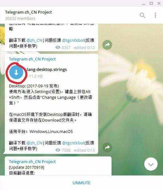 怎么查看telegram视频存储位置的简单介绍
