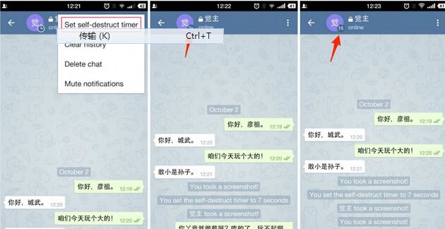 [Telegram聊天中文版]telegream中文版官方