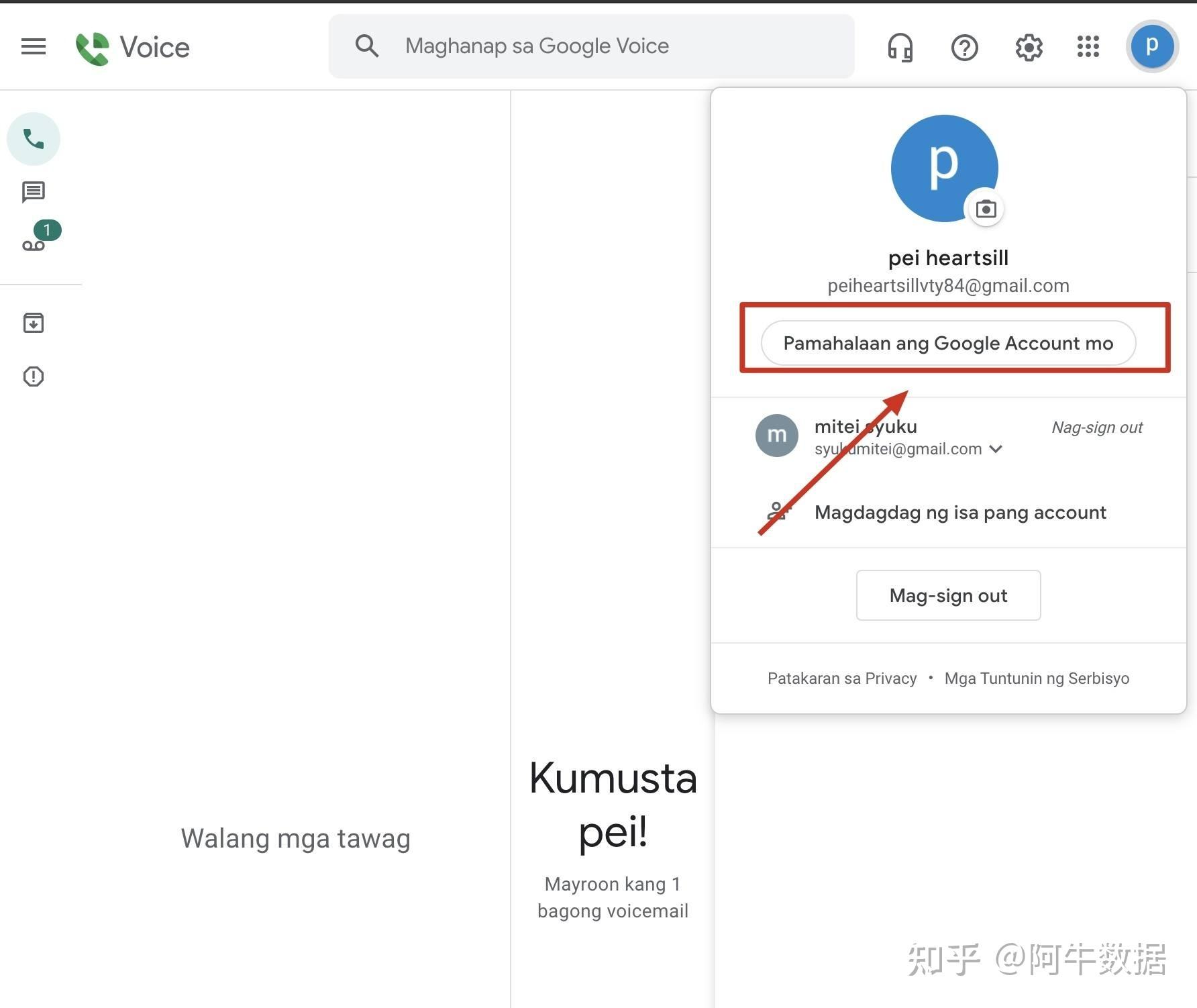 [googlevoice购买]googlevoice收费标准