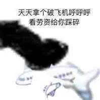 [小飞机事件]小飞机事件是外星人吗