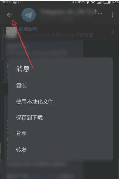 telegreat中文包[telegreat中文包安装不了]