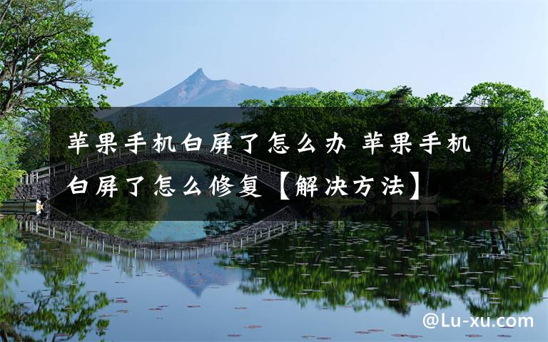 TG收不到手机验证码[为什么这个手机收不到验证码]