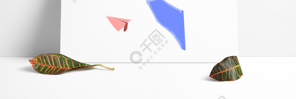 纸飞机下载的文件在哪[纸飞机下载的文件在哪个手机文件夹]