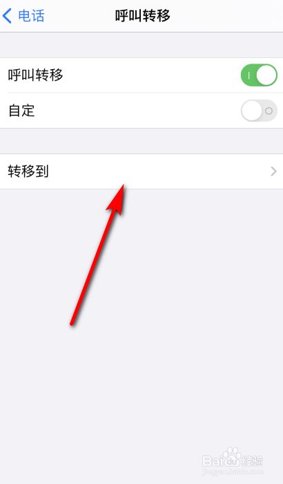 苹果手机飞机如何设置中文[iphone飞机怎么弄成中文版]