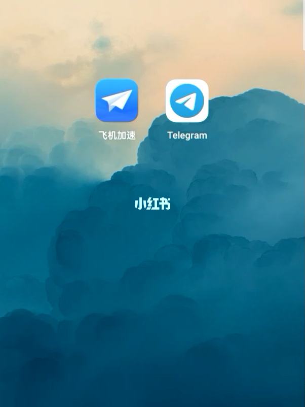 telegran纸飞机[telegeram安卓下载]