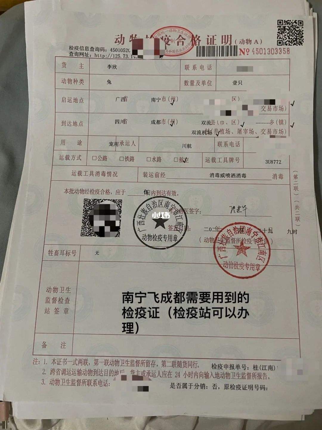 飞机在国内怎么注册[国内手机号怎么注册飞机]