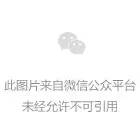 whatsapp官方网下载的简单介绍