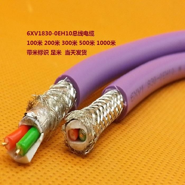 纸飞机免费代理网线[纸飞机中文版怎么设置代理]