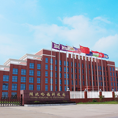 Telegreat加速器[telegeram安卓下载]