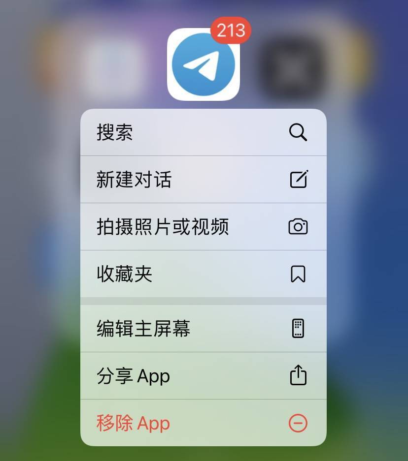 国外聊天软件飞机叫什么-国外聊天软件飞机叫什么名字
