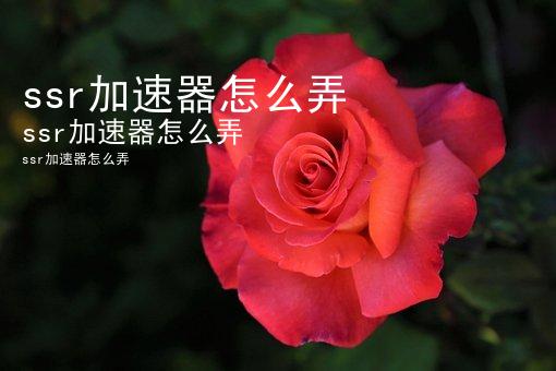 纸飞机ssr加速器官网-纸飞机testflight