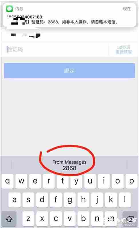 [苹果手机小飞机收不到验证码]iphone小飞机是什么意思