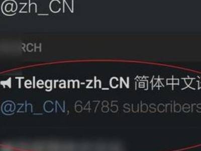 [苹果纸飞机设置中文版]苹果纸飞机设置中文版链接