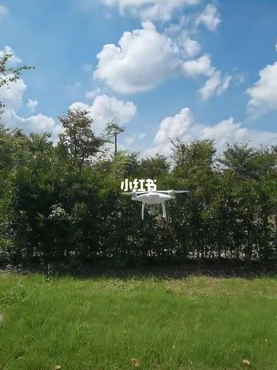 [小飞机ios账号]小飞机苹果如何改中文版