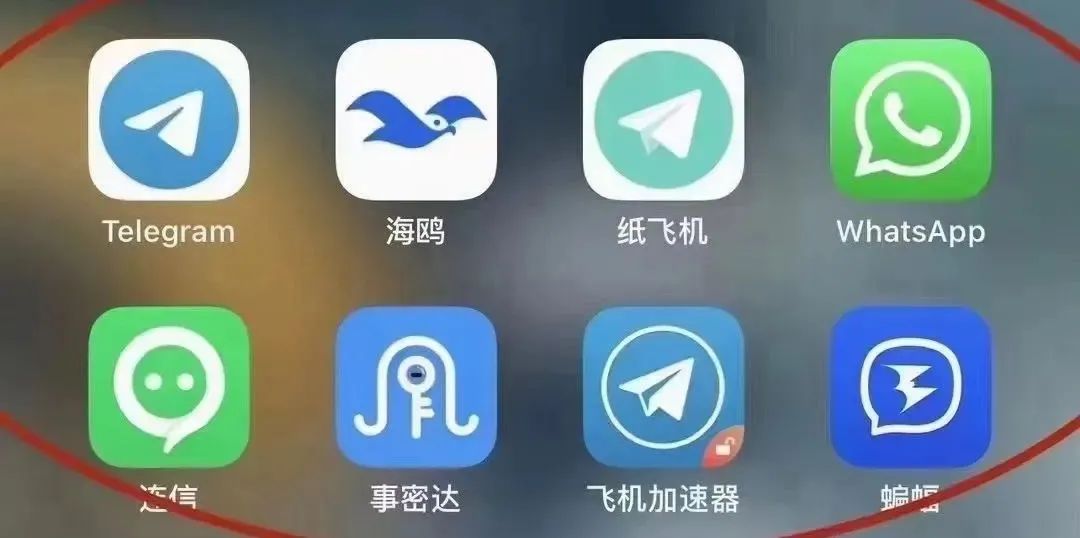 [纸飞机app安卓版中文]纸飞机app中文版下载v1