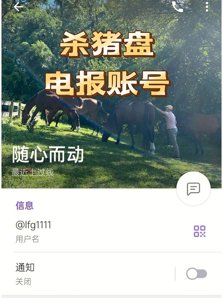 电报链接无法跳转-电报链接无法跳转怎么回事