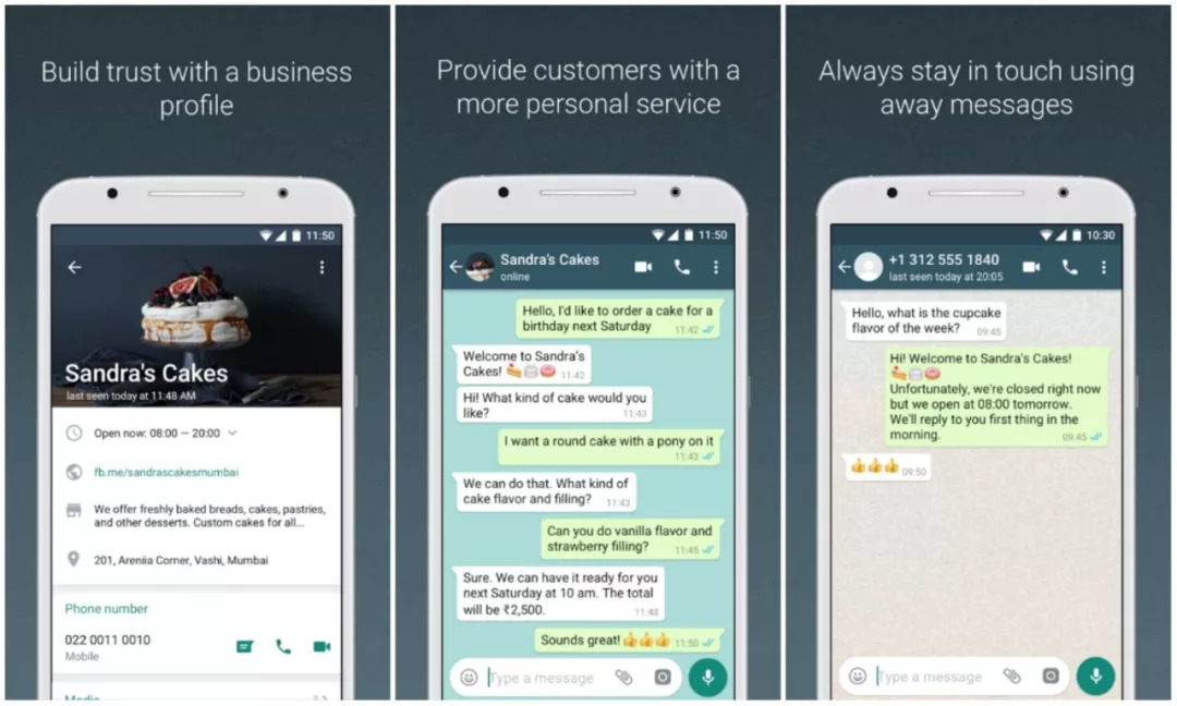 包含whatsapp检索登录信息显示网络故障的词条