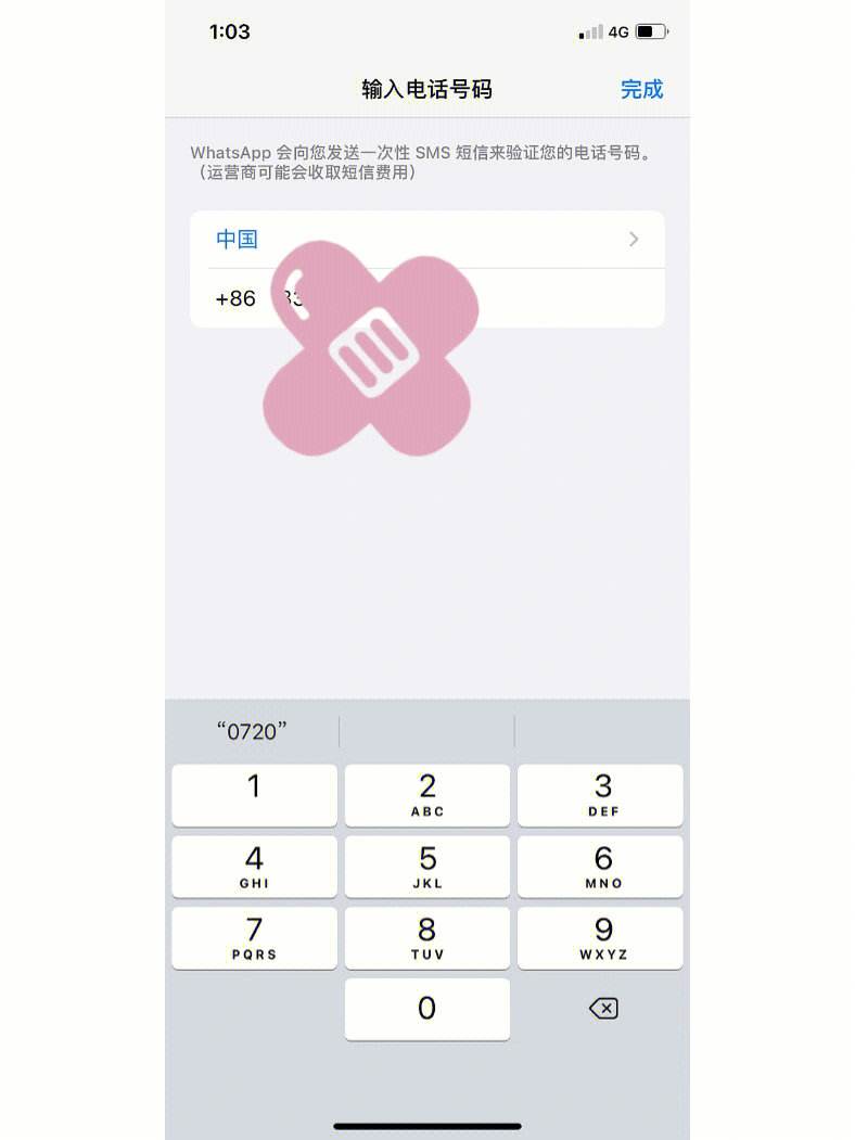 纸飞机收不到验证码什么原因-纸飞机app为什么我的手机号不发验证码