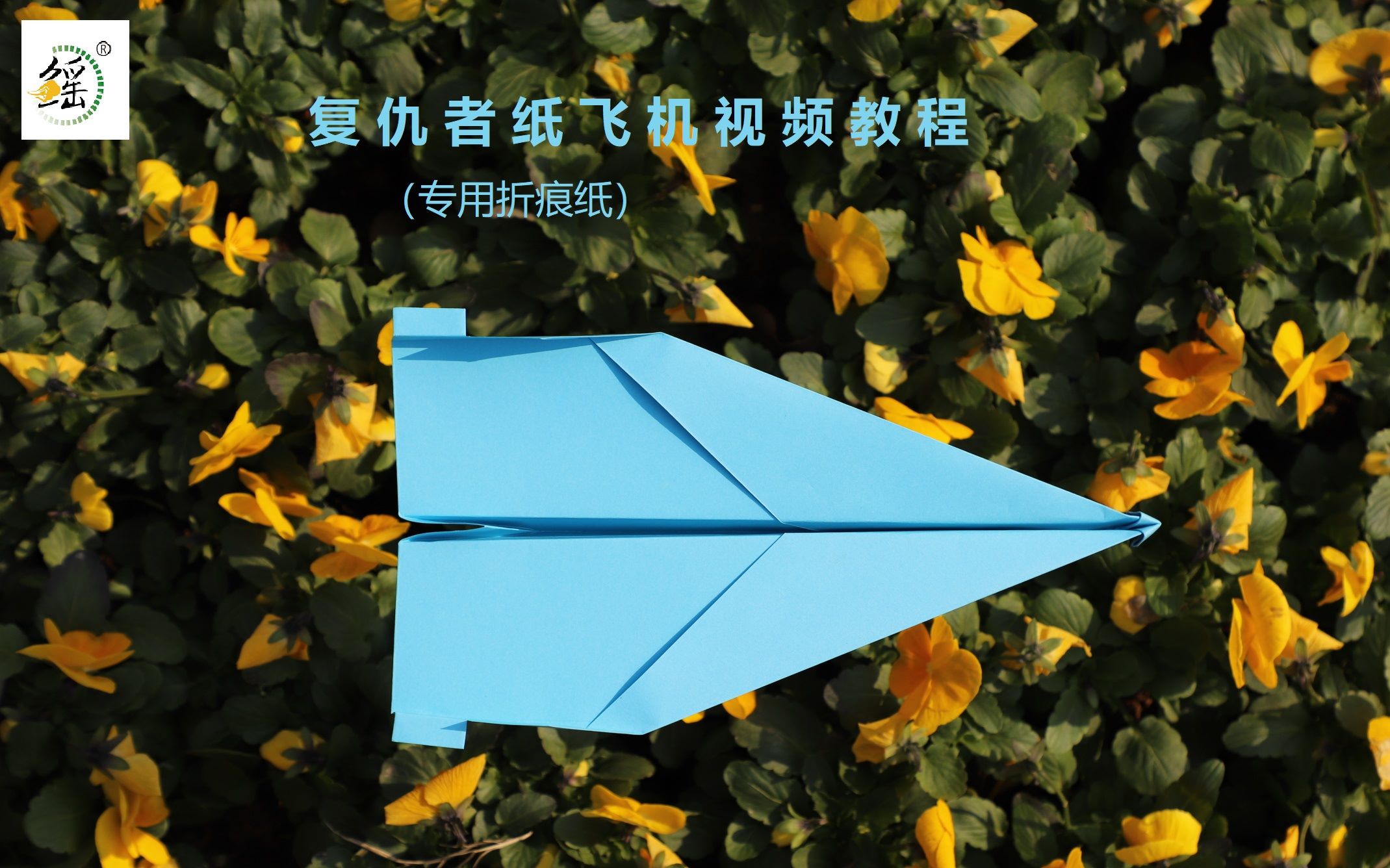 纸飞机怎么看小视频-纸飞机怎么看小视频教程