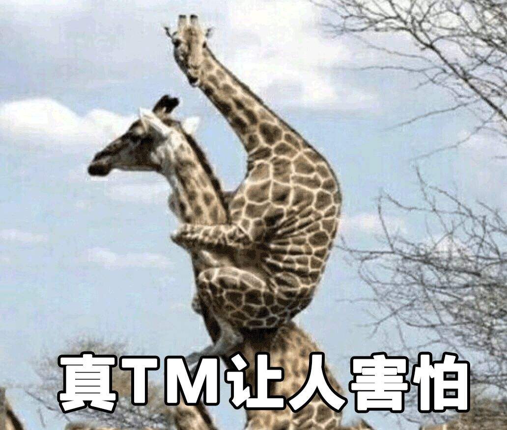 骂人专用电报声-骂人铃声mp3下载免费的骂人音效骂人音效在线试听