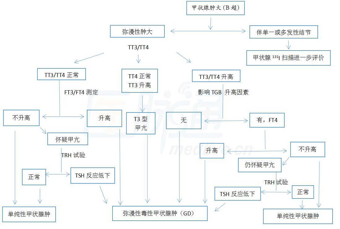 Tpo和TG升高-tpo升高有什么意义