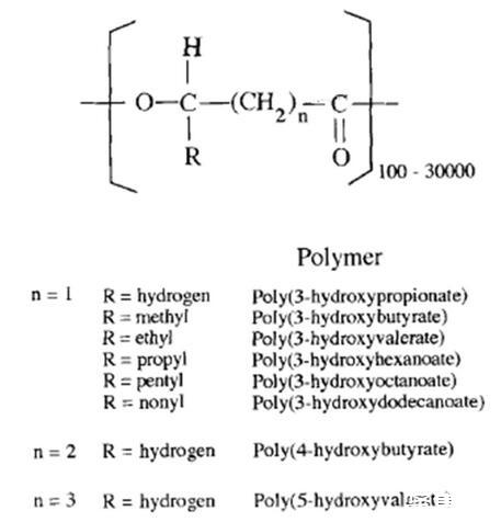 TG在生物化学中是什么意思的简单介绍