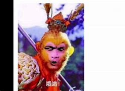 花果山电报员原声-花果山电报员 百度网盘