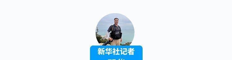 电报猴骂人视频倒放-电报猴原视频没有电音