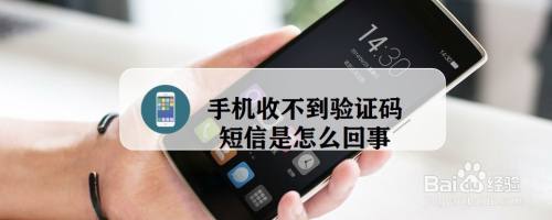 纸飞机收不到验证短信怎么办-纸飞机app为什么我的手机号不发验证码