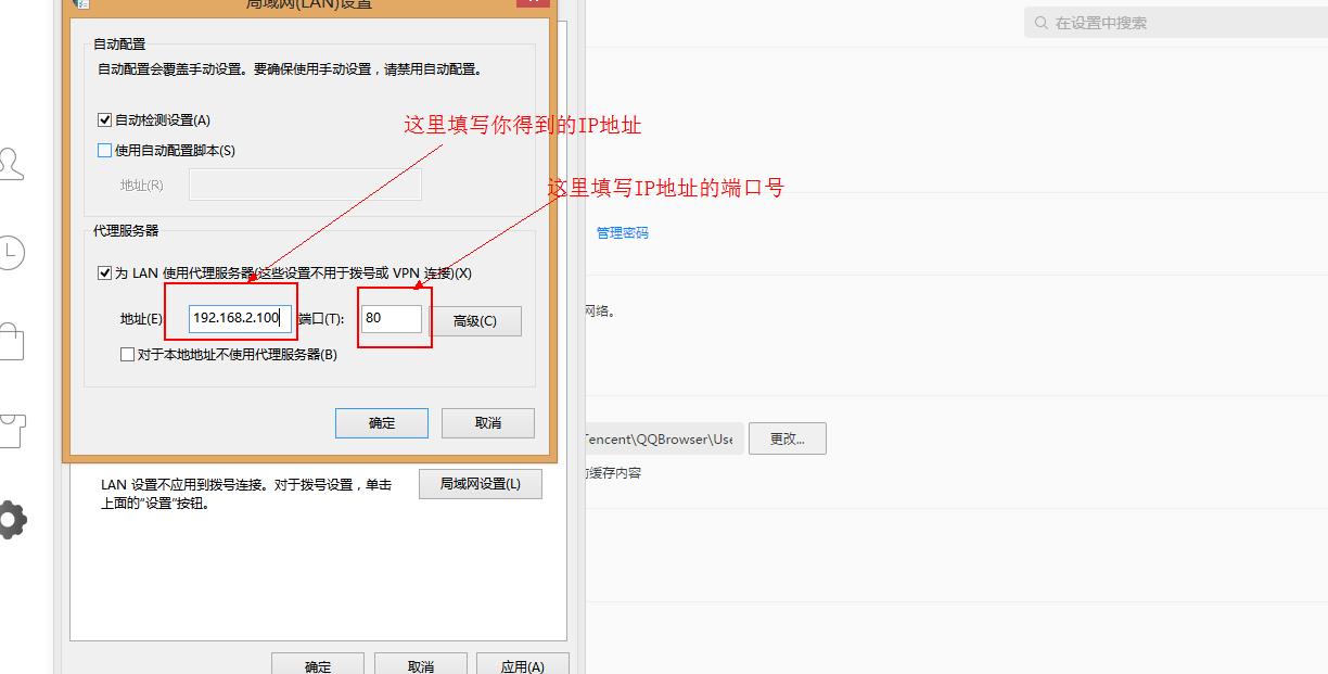 纸飞机免费代理ip地址-纸飞机免费代理ip地址网站