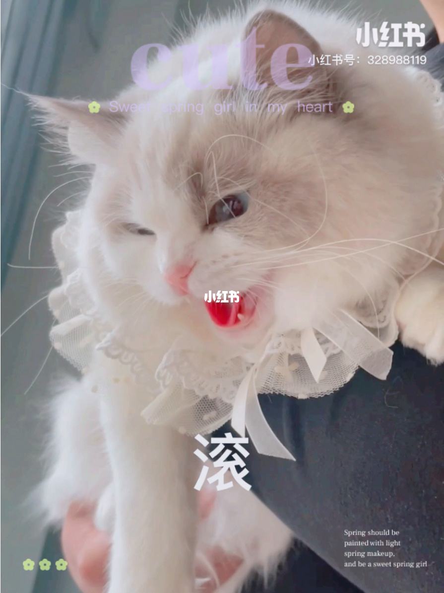 电报员口吐芬芳文字-一开口就是老电报员了